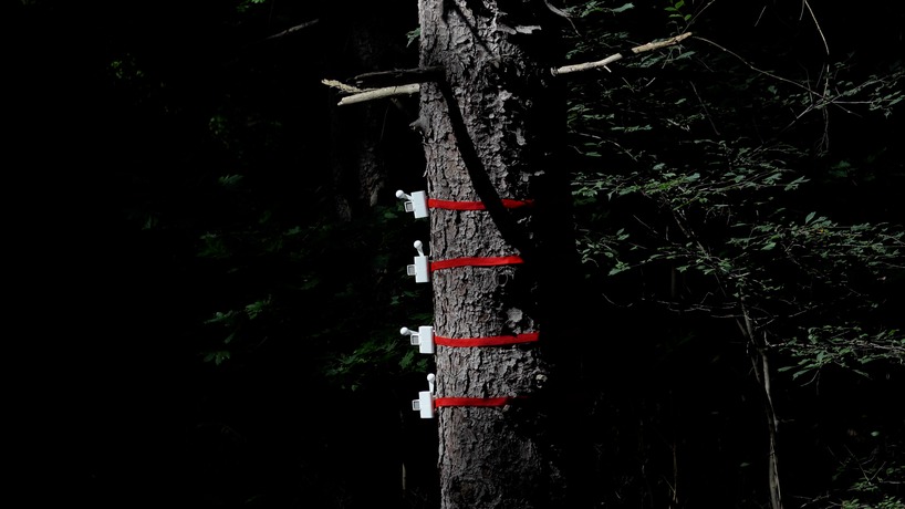 tree-mounted machines connect to web app to let users knock on wood remotely - 6
