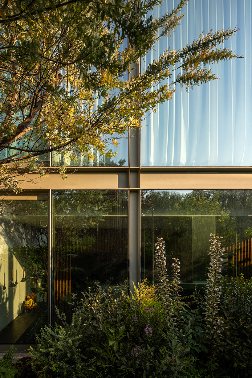 garden void softens the rigid steel and glass structure of cárpatos house in mexico city