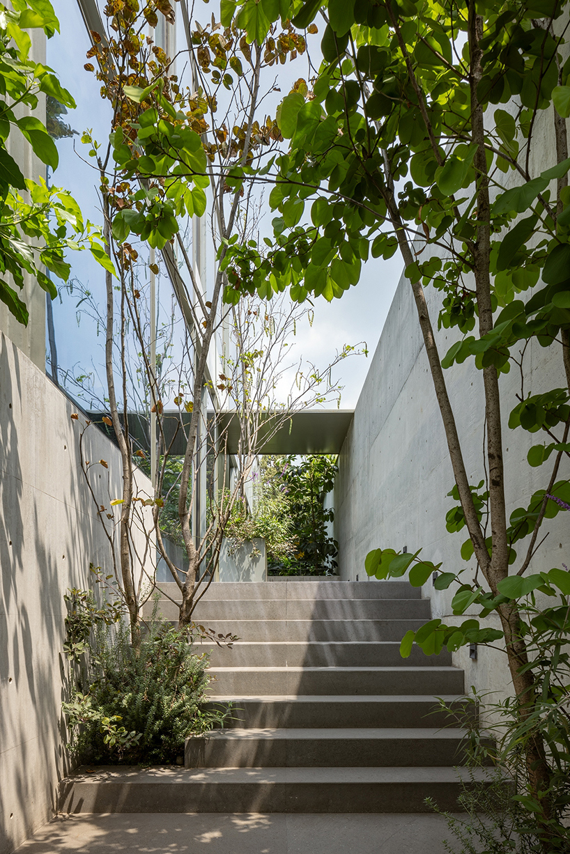 garden void softens the rigid steel and glass structure of cárpatos house in mexico city