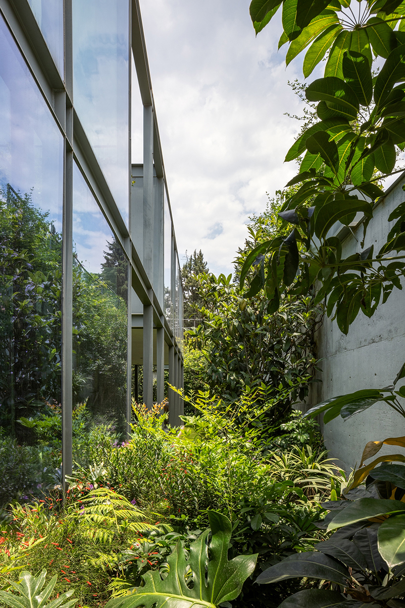 garden void softens the rigid steel and glass structure of cárpatos house in mexico city