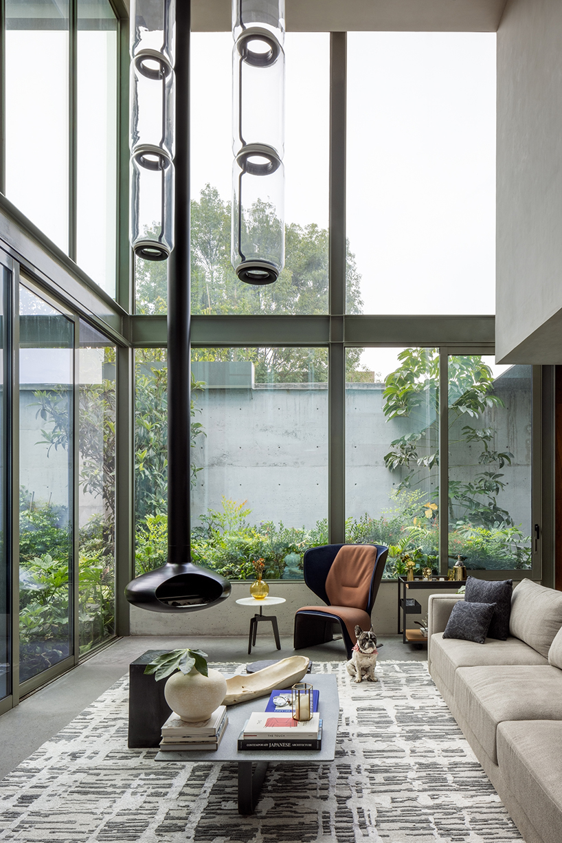 garden void softens the rigid steel and glass structure of cárpatos house in mexico city