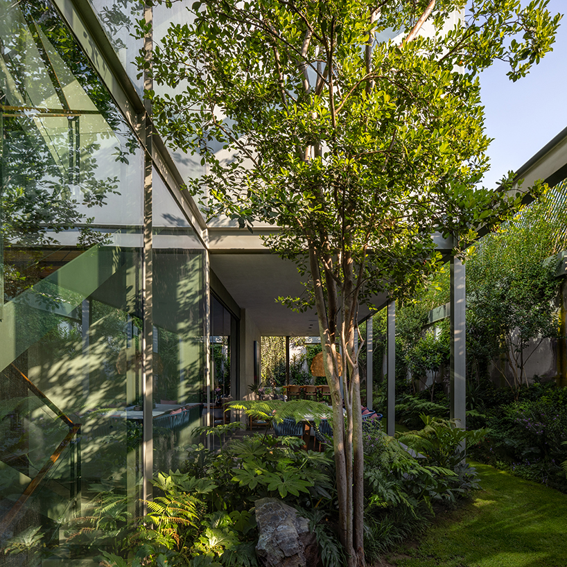 garden void softens the rigid steel and glass structure of cárpatos house in mexico city