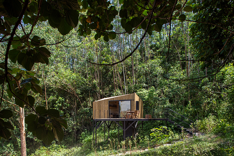 La casa del árbol del altar de Ninhu como refugio para la interrupción 7