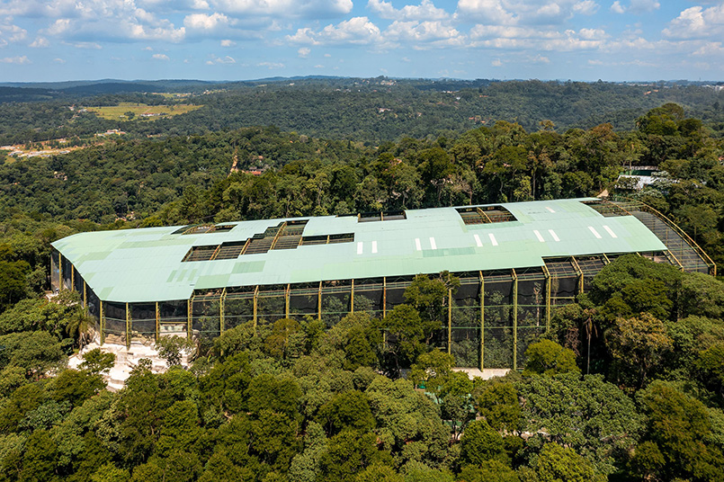 AM2 arquitetura develops immersive green biopark in the outskirts of são paulo