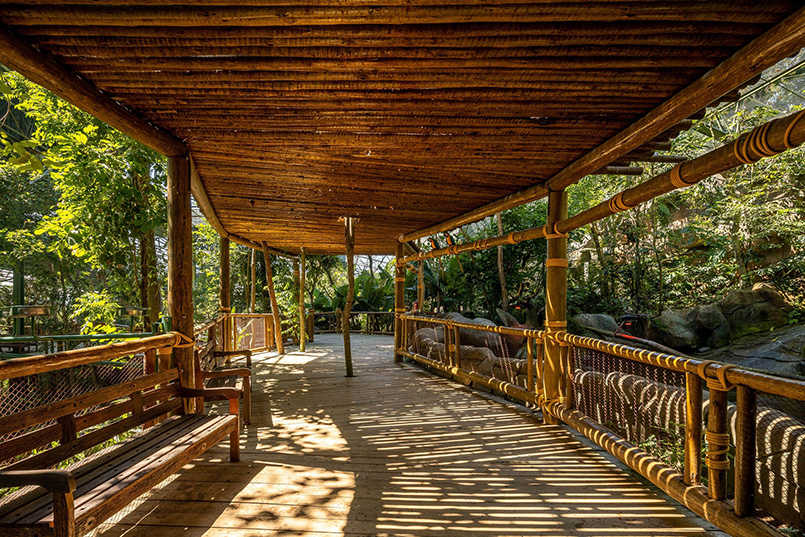 AM2 arquitetura develops immersive green biopark in the outskirts of são paulo