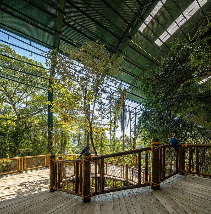 AM2 arquitetura develops immersive green biopark in the outskirts of são paulo