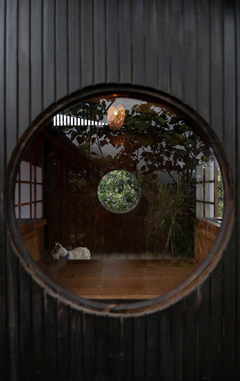 baquio arquitectura envuelve una zona de descanso con tablones de madera oscura en el bosque del Chocó en Ecuador