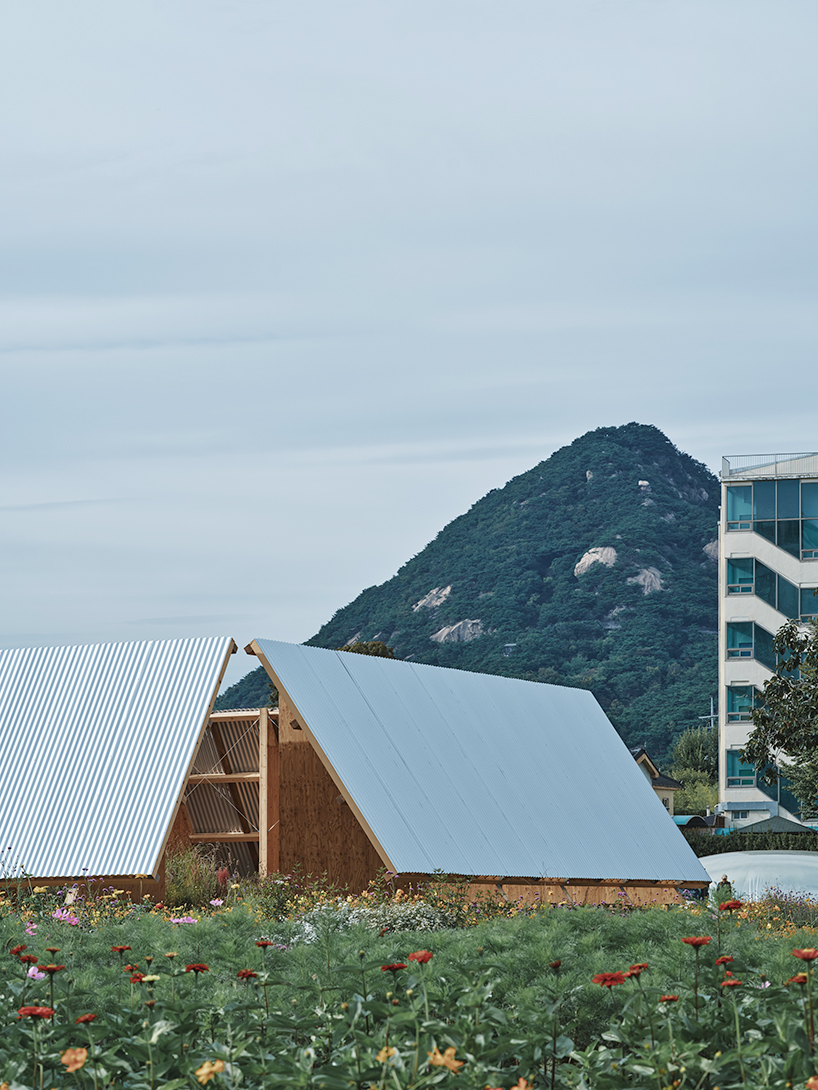 salazarsequeromedina & frank barkow present a garden pavilion at seoul biennale