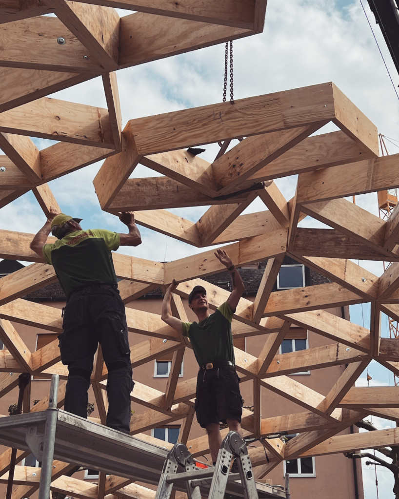 timber gridshell assembles free-form shapes combining trivalent and ...