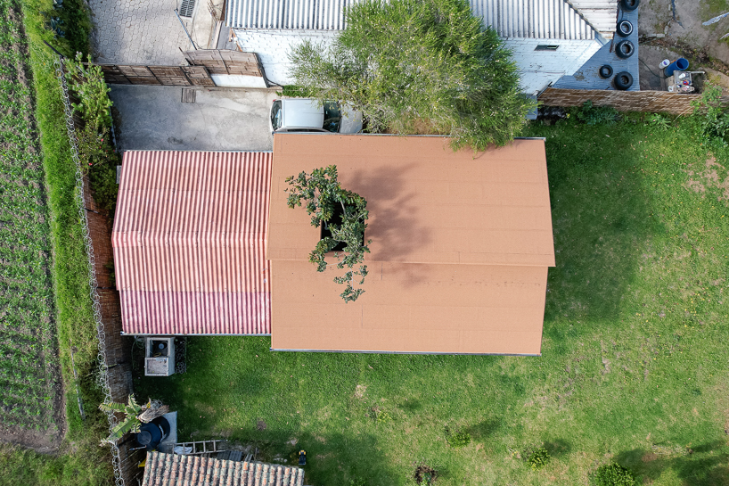 pengrajin struktur kayu eucalyptus casa guabo oleh ese colectivo di ekuador
