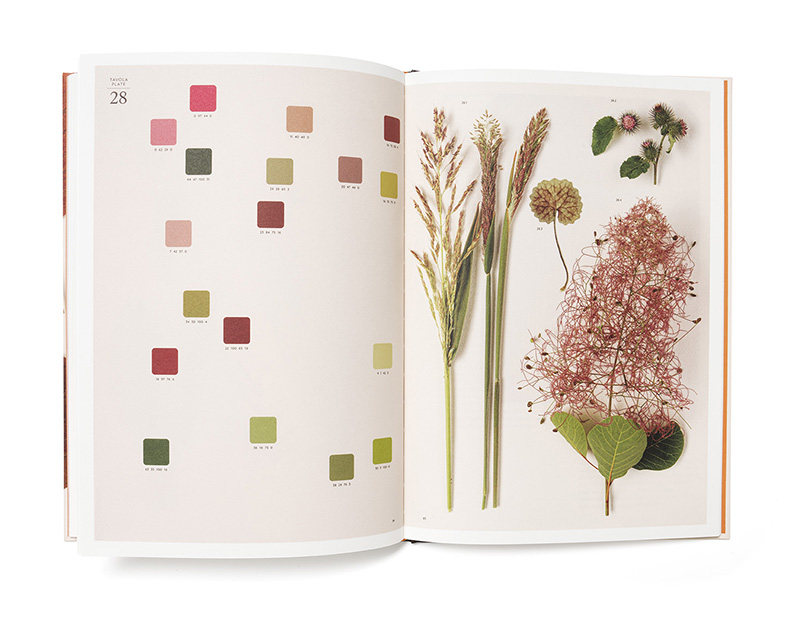 chromatic herbarium book captures a vivid living collection of the hues of nature