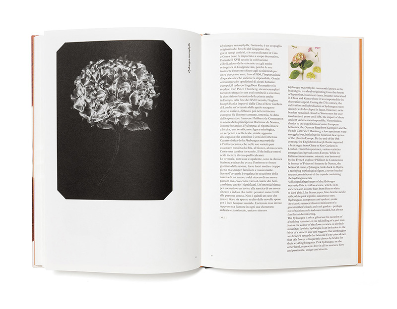 chromatic herbarium book captures a vivid living collection of the hues of nature