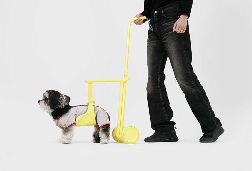 seatbelt-inspired walking aid ensures comfortable strolls with your elderly furry friends