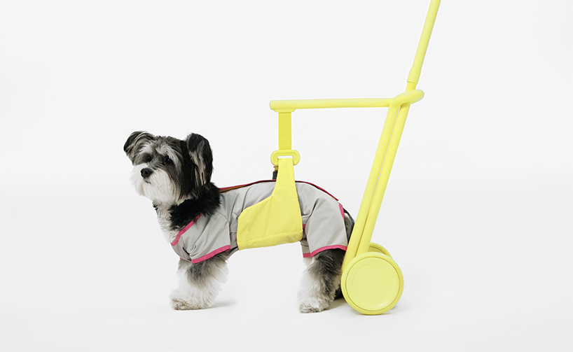 seatbelt-inspired walking aid ensures comfortable strolls with your elderly furry friends