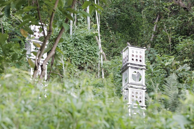 Módulos industriales y suelo orgánico crean una instalación arquitectónica que crece con el bosque