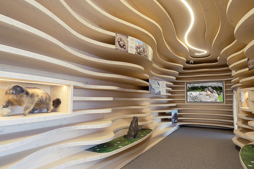 corten steel tubes lined with spruce plywood ribs form alpine learning burrow by officina 82 - 3