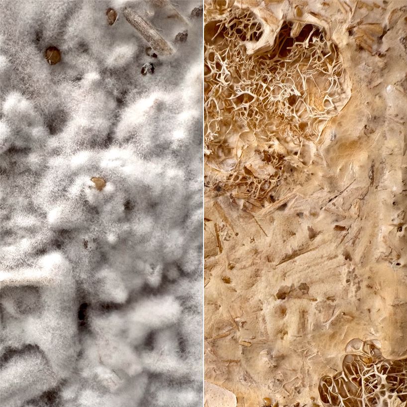 this mushroom lamp explores mycelium and luffa as composite biomaterial for lighting design - 8