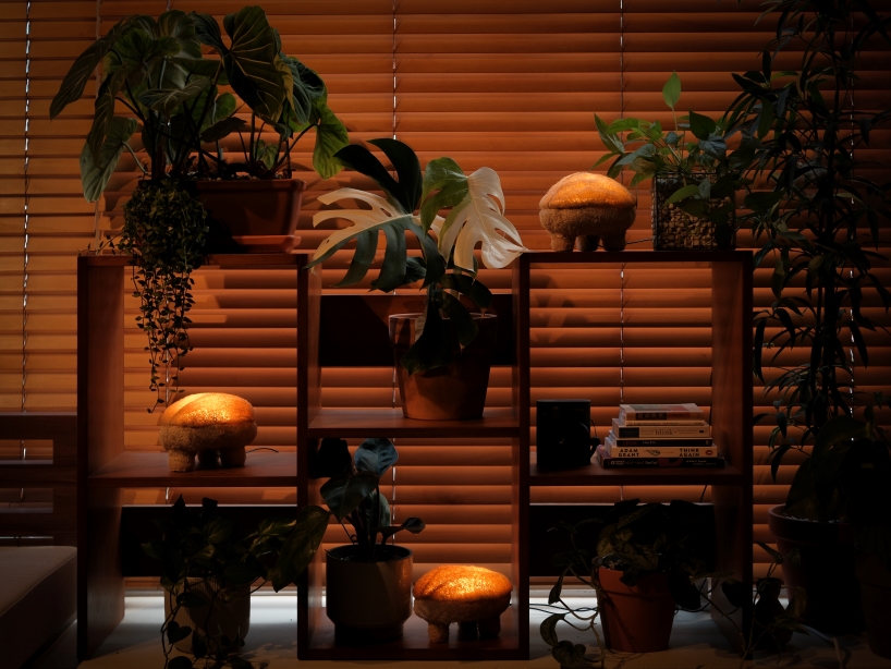 this mushroom lamp explores mycelium and luffa as composite biomaterial for lighting design - 4