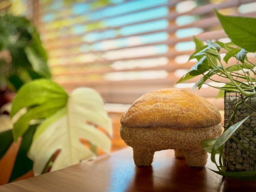 this mushroom lamp explores mycelium and luffa as composite biomaterial for lighting design - 6