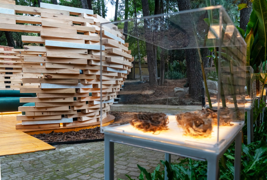 ninho prototype of a bio urban equipment 11