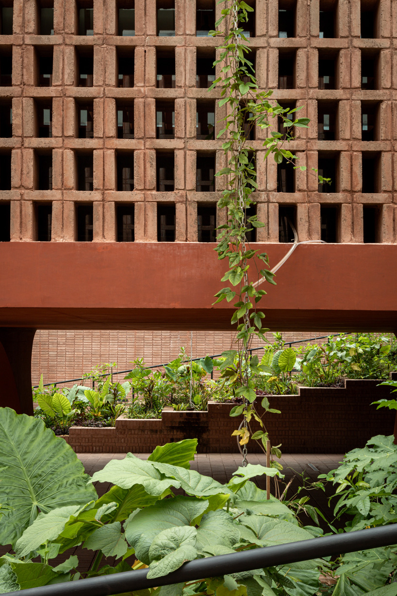 cast in red-pigmented concrete, la cacaotera museum celebrates cacao heritage in mexico - 8
