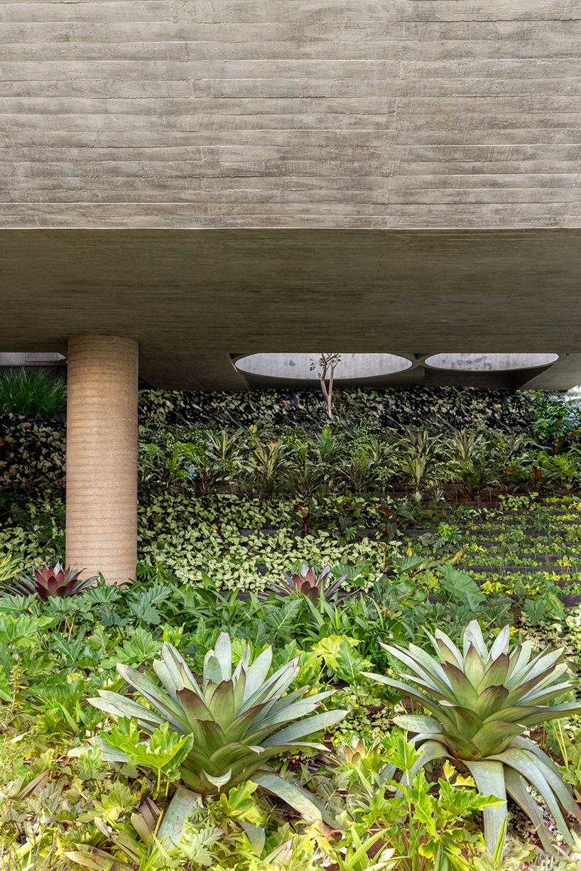 layered concrete facades and tropical vegetation shape maya tower by perkins&will in brazil - 8