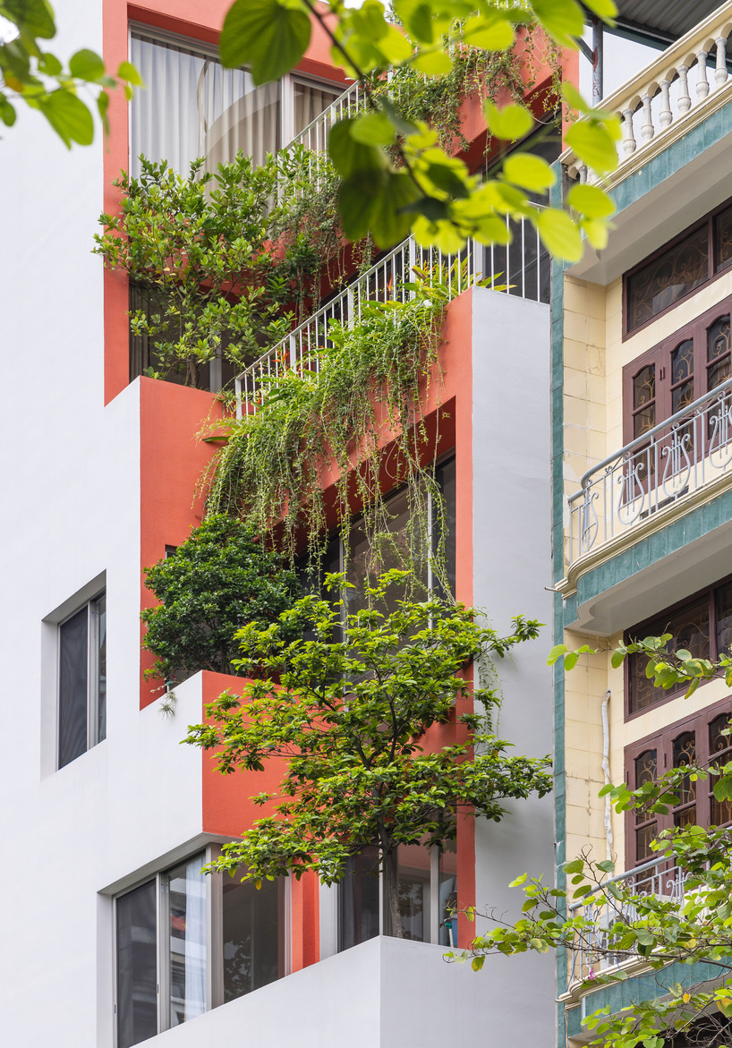 Un atrio arbolado recorre la casa de d15studio en Vietnam