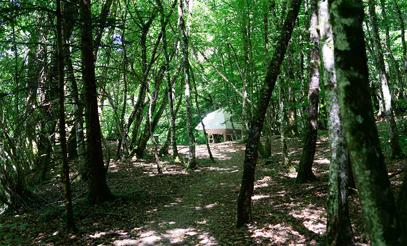 meaningless architecture's meditation cabin lights up like a lantern in french woodlands