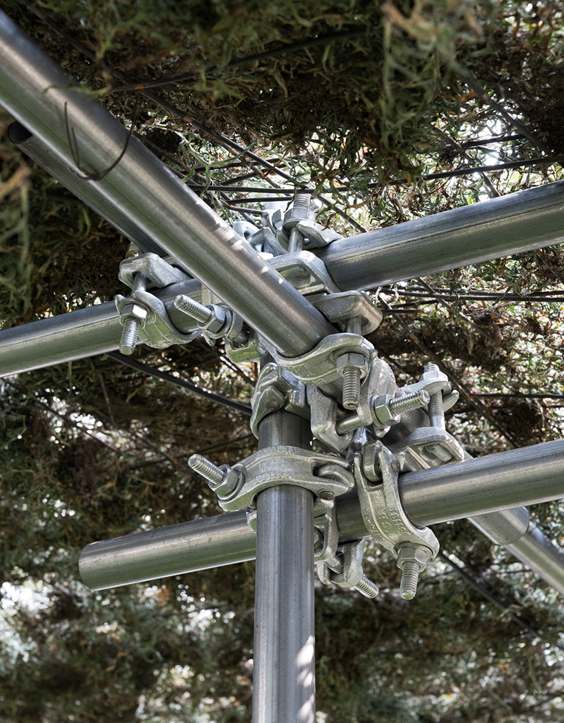 people pavilion's decomposed grass canopy shades over free-form circular seating