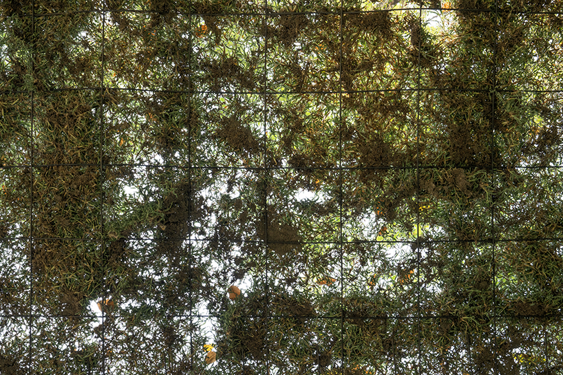 people pavilion's decomposed grass canopy shades over free-form circular seating