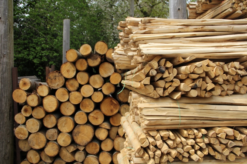 coppiced sweet chestnut wood sculpts tree furniture collection by masao rong