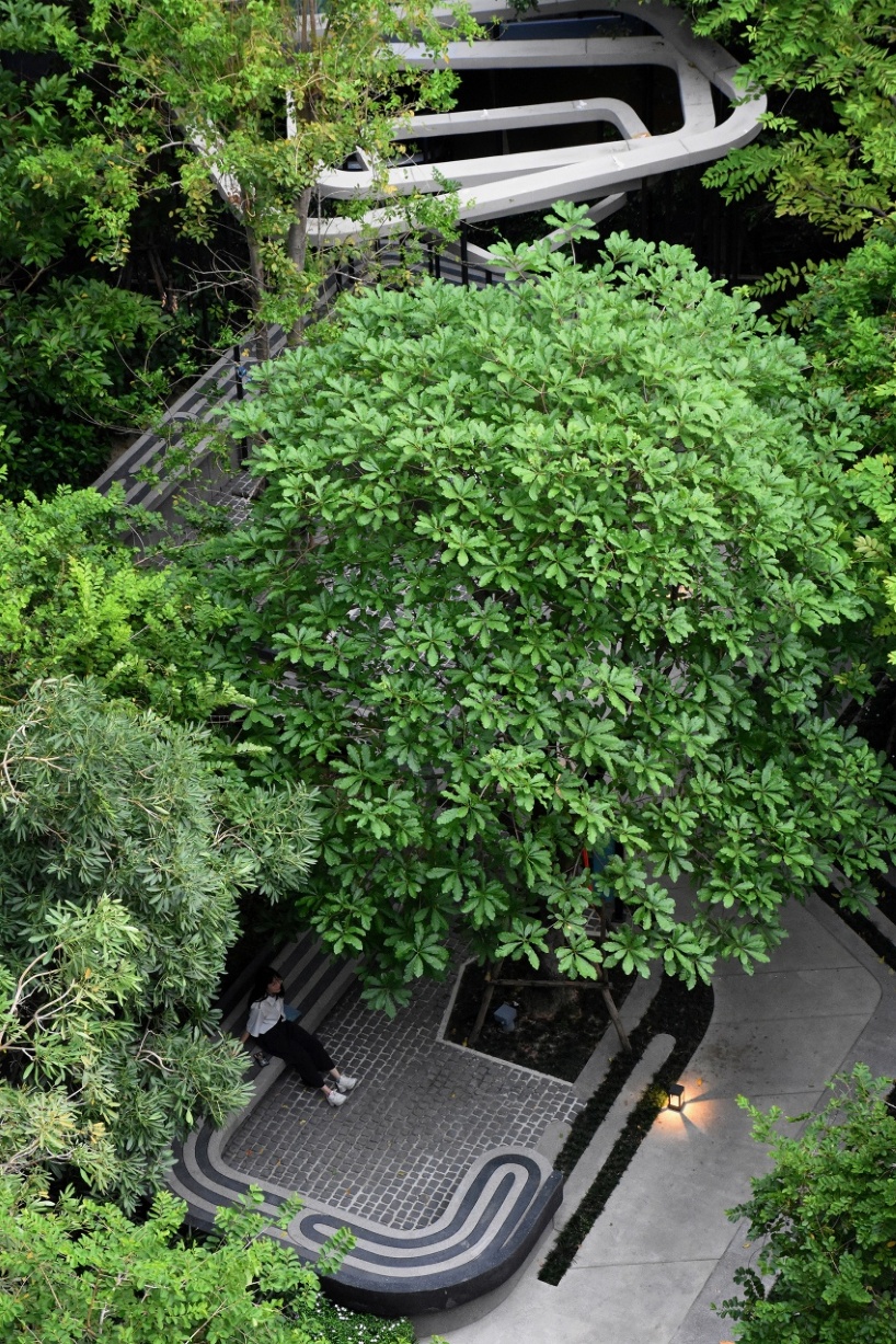 fingerprint patterns inform sculptural landscape design within bangkok housing complex