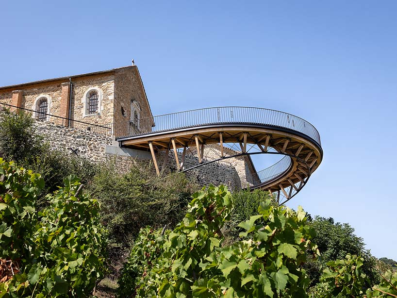 belvedere's wooden promenade by collection architectes floats above vineyards in france