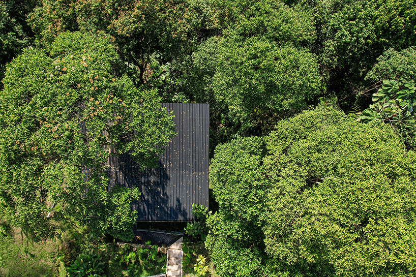 repurposed metal pipes elevate bamboo lodge emerging from ecuadorian rainforest