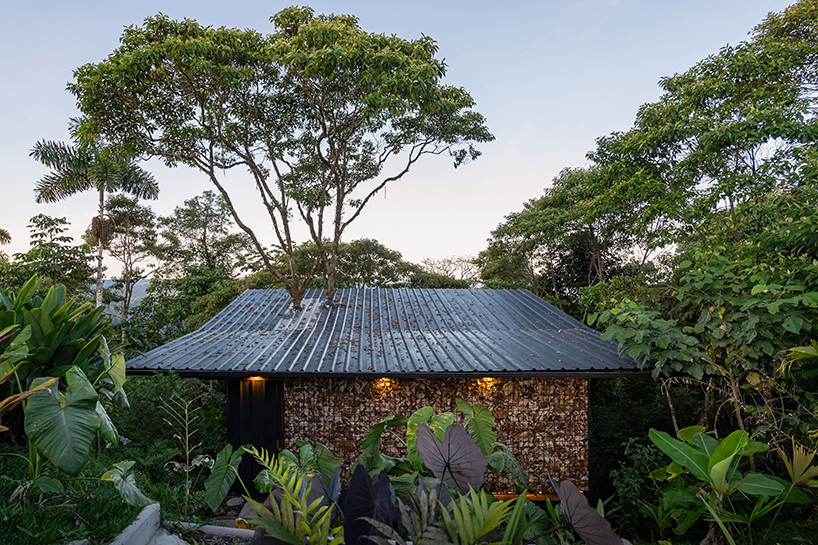 repurposed metal pipes elevate bamboo lodge emerging from ecuadorian rainforest