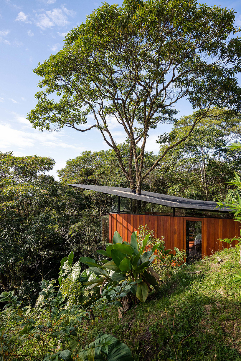 repurposed metal pipes elevate bamboo lodge emerging from ecuadorian rainforest