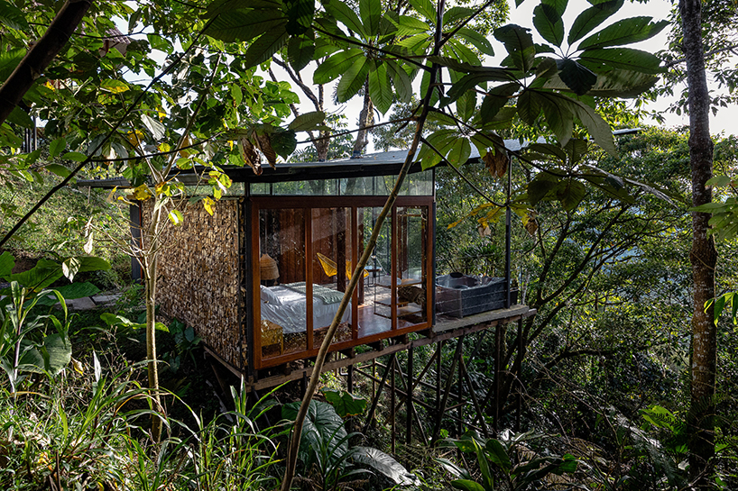 repurposed metal pipes elevate bamboo lodge emerging from ecuadorian rainforest