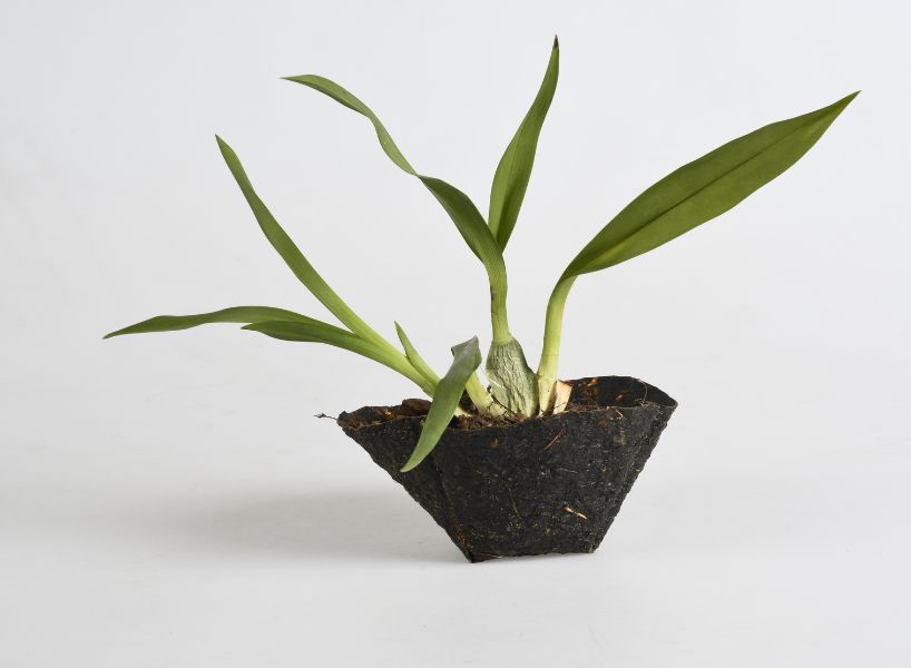reclaimed organic waste composes plastic-free biodegradable plant pots