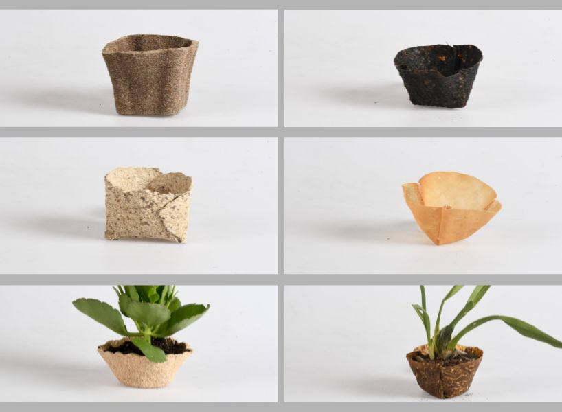 reclaimed organic waste composes plastic-free biodegradable plant pots