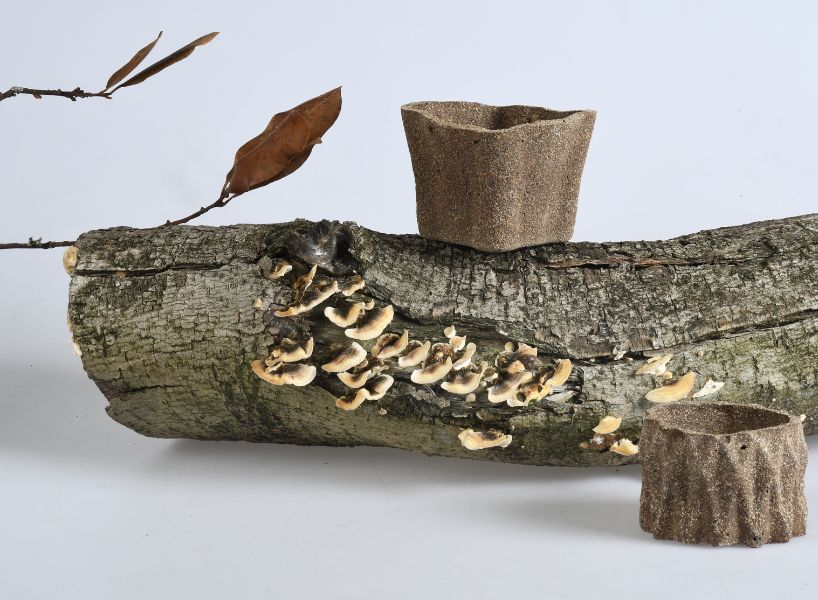 reclaimed organic waste composes plastic-free biodegradable plant pots