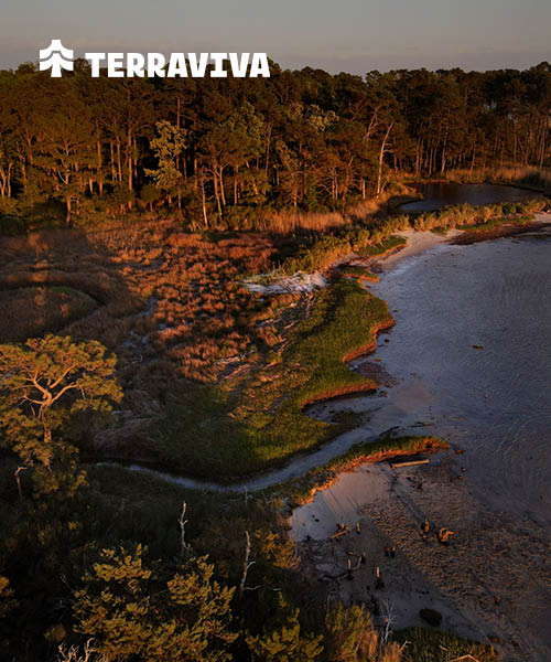 THE FIELD STATION: A Multidisciplinary Hub in Virginias Living Coast