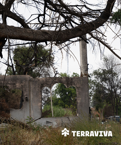 Rising from Ashes: A Sacred Space in Altadena