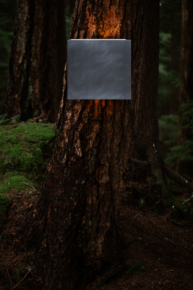 earth to people combines tree sap with salvaged wood in debut furniture collection