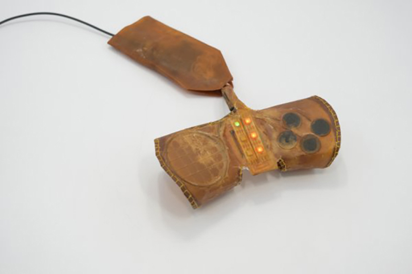 grown from bacteria and yeast, BioHybrid gaming device evolves, adapts, and biodegrades