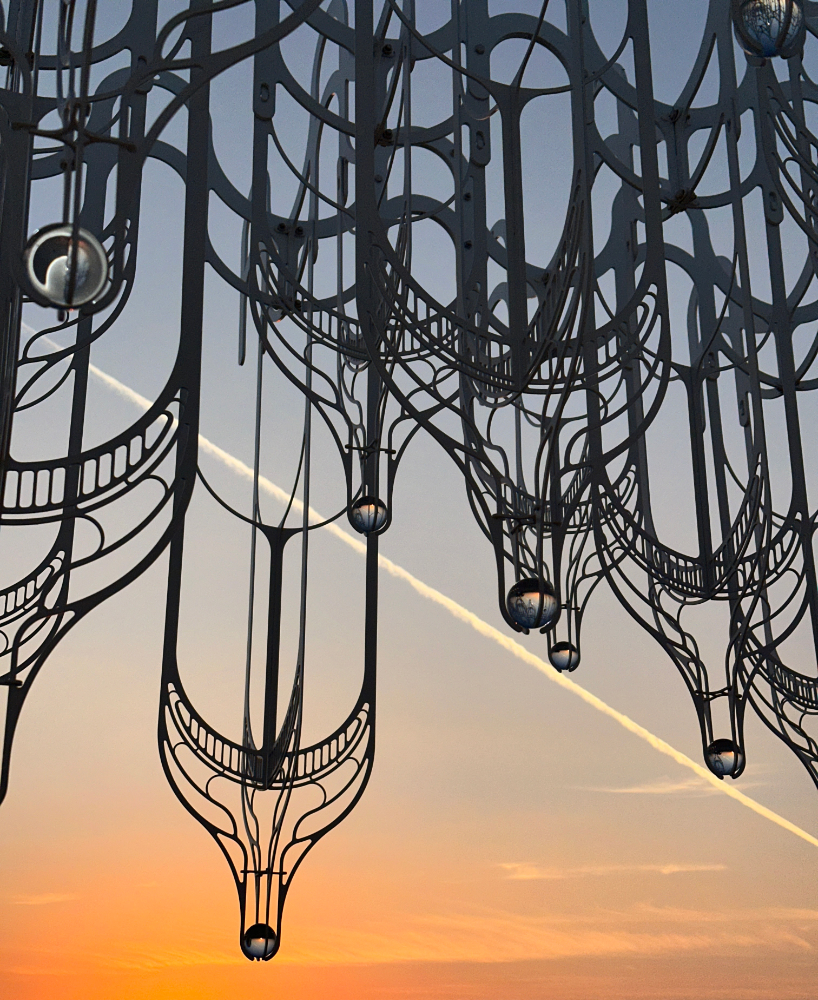 cloud-like white canopy of hanging vines emerges from abu dhabi&rsquo;s arid landscape