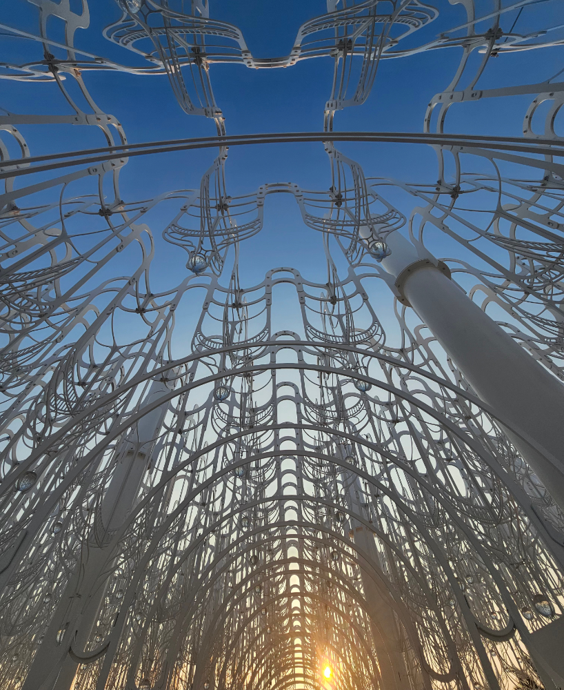 cloud-like white canopy of hanging vines emerges from abu dhabi&rsquo;s arid landscape