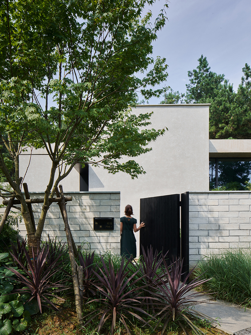 studio8's resort villas nestle amid pine forests and bamboo mountains in china