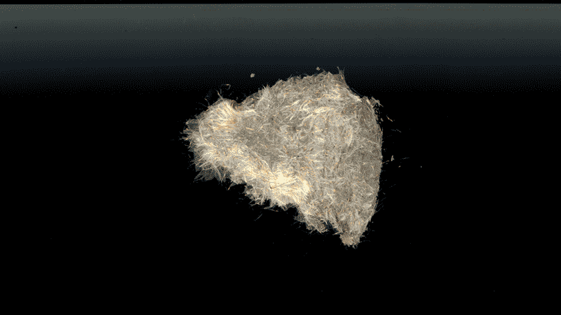 bag collection uses bulrush biomaterials to map mexico's vanishing wetlands