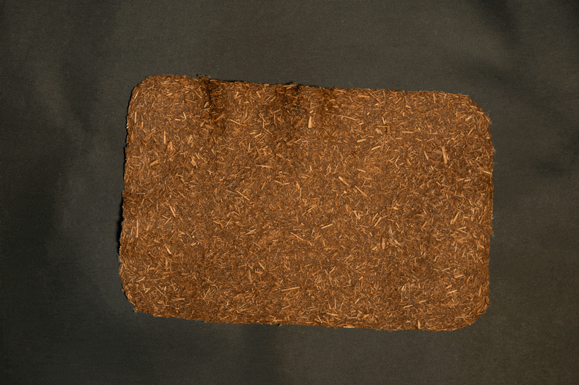 bag collection uses bulrush biomaterials to map mexico's vanishing wetlands