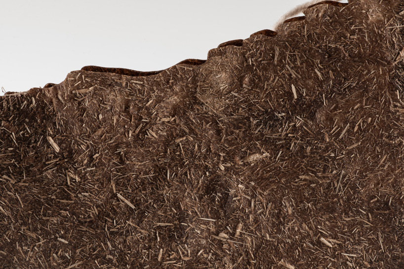 bag collection uses bulrush biomaterials to map mexico's vanishing wetlands